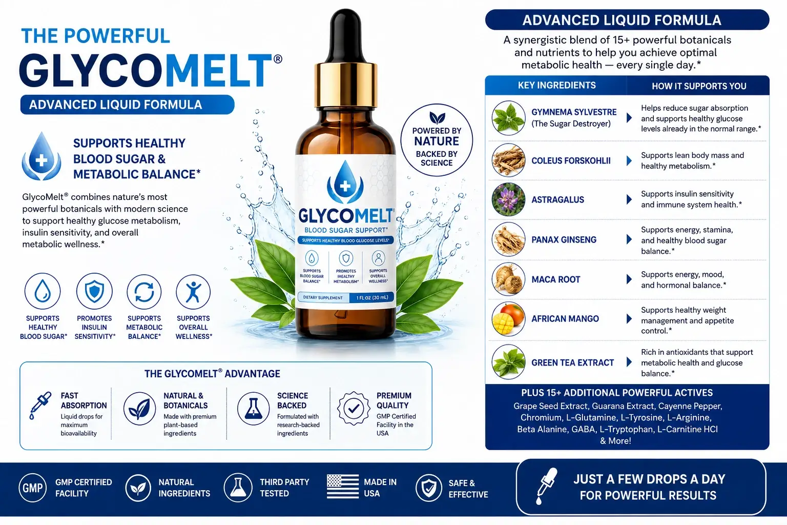 GlycoMelt formula and metabolic support visual