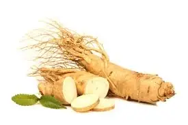 GlycoMelt Ginseng Root